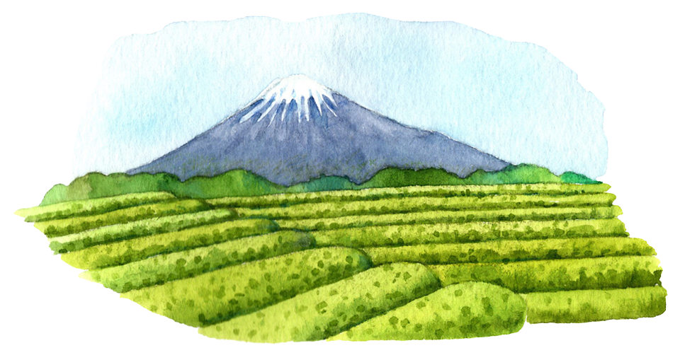 イメージ15-1