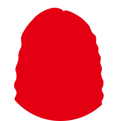 中村 陽一
